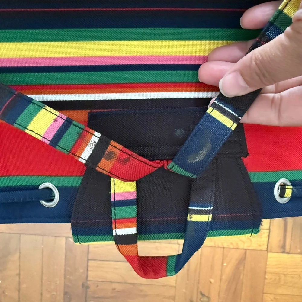 Kate Spade backpack Colorful Striped Women's Bag